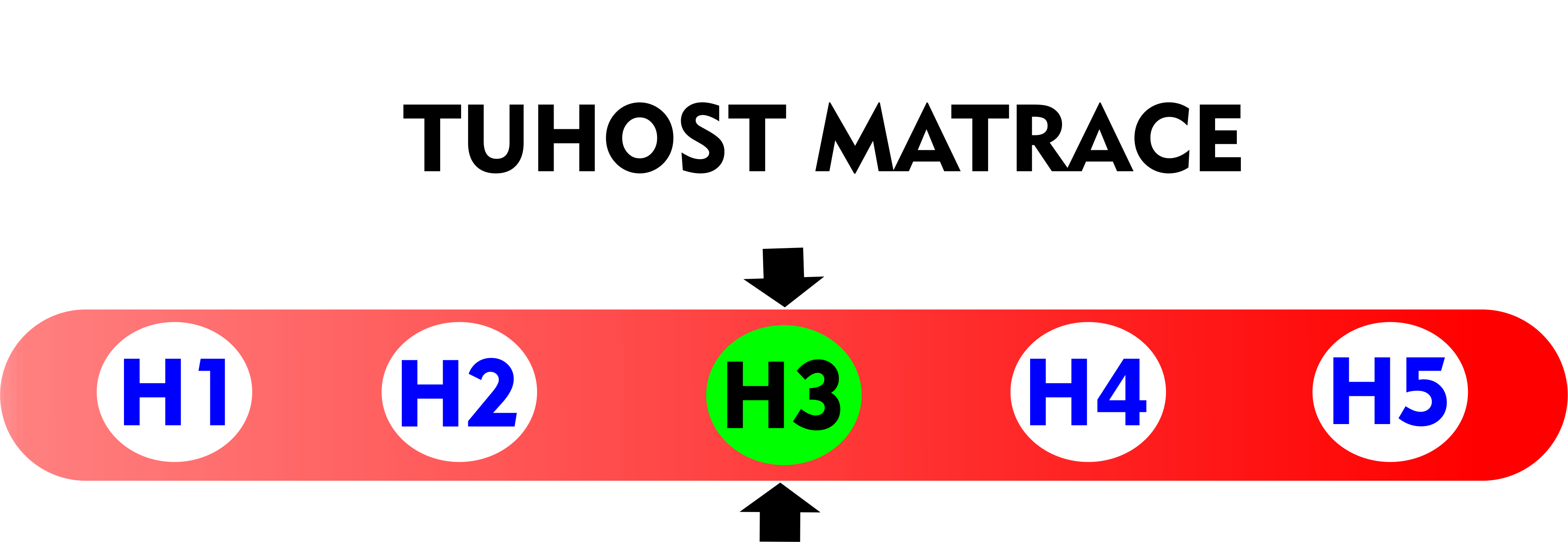 tuhost 3